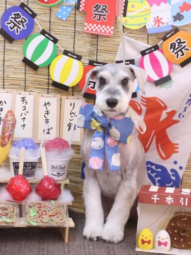 20240728りくくん